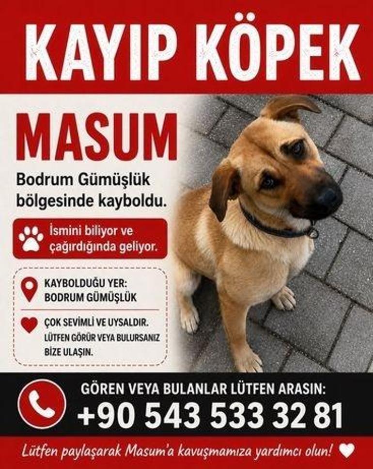 Tan Taşçıdan yardım çağrısı: Lütfen bize haber verin